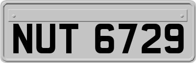 NUT6729