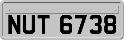 NUT6738