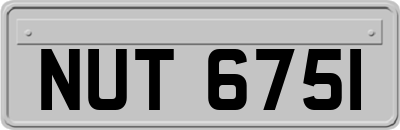 NUT6751