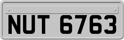 NUT6763