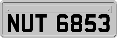 NUT6853