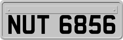 NUT6856