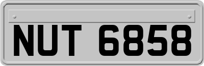 NUT6858