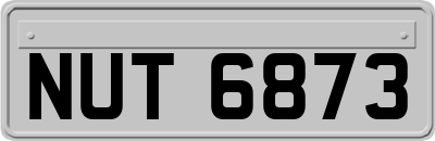 NUT6873