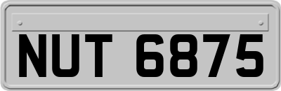 NUT6875