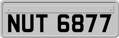 NUT6877