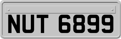 NUT6899