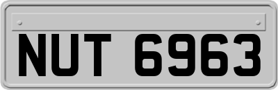 NUT6963