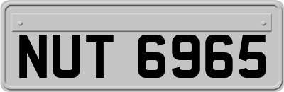 NUT6965