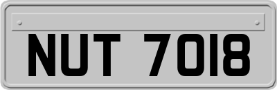 NUT7018