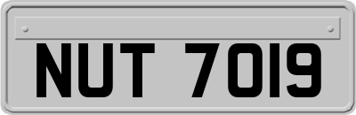 NUT7019