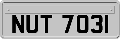 NUT7031