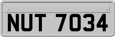 NUT7034