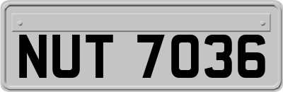 NUT7036