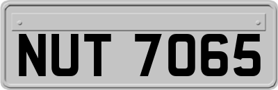 NUT7065