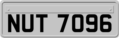 NUT7096