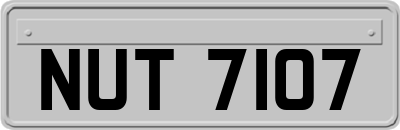 NUT7107