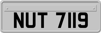 NUT7119