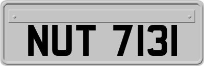 NUT7131