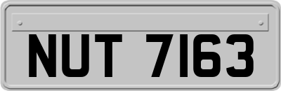 NUT7163