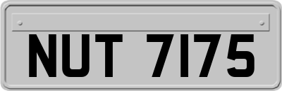 NUT7175