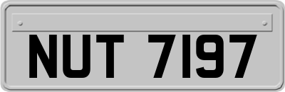 NUT7197