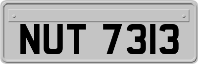 NUT7313