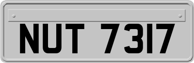 NUT7317