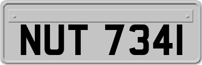 NUT7341