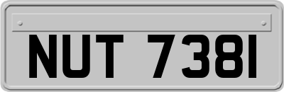NUT7381