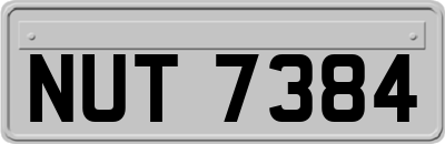 NUT7384