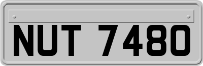NUT7480