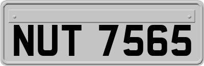 NUT7565