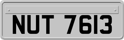 NUT7613