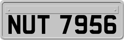 NUT7956
