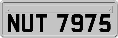 NUT7975