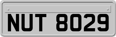 NUT8029