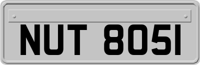 NUT8051