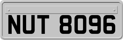 NUT8096