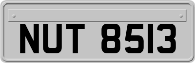 NUT8513