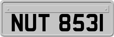 NUT8531