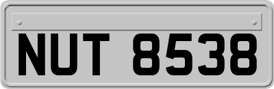 NUT8538