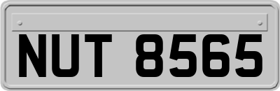 NUT8565
