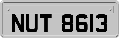 NUT8613