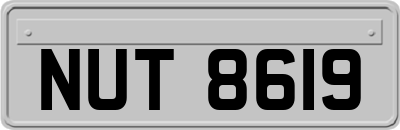 NUT8619