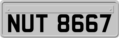 NUT8667