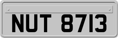 NUT8713