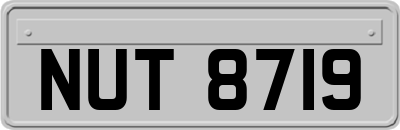 NUT8719