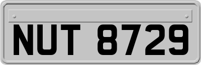 NUT8729