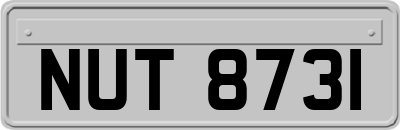 NUT8731